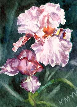 "Iris" by Kathleen M. Ward, Edgerton WI - Watercolor - SOLD